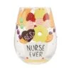 Best Nurse Stemless Wine Glass(Best Nurse Stemless Wine Glass)