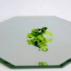 Teeny Frog - Spotted