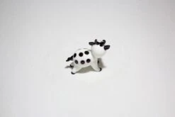 Kooky Cow -Glassware Store IMG 4562