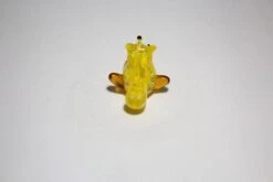 A Little Squirrely -Glassware Store IMG 4566