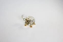 Turtle Time -Glassware Store IMG 4697