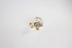 Turtle Time -Glassware Store IMG 4698