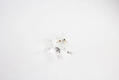 Clear Frog -Glassware Store IMG 4700