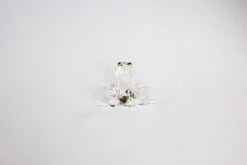 Clear Frog -Glassware Store IMG 4702