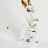 Clear And Gold Kangaroos