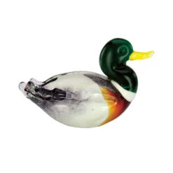 Mallard Duck