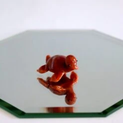 Teeny Turtle - Brown